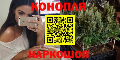 соль ск Будённовск
