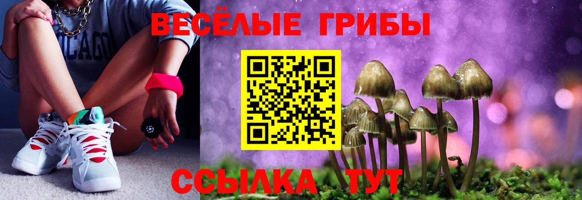 Галлюциногенные грибы Magic Shrooms Сатка